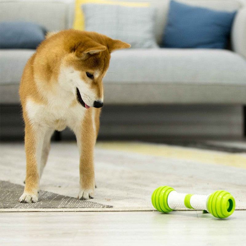 Happy bone electric automatic dog toy bone Global swanky 1