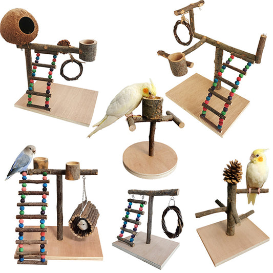 Parrot Training Station Frame – Solid Wood Bird Shelf & Toys global swanky 1
