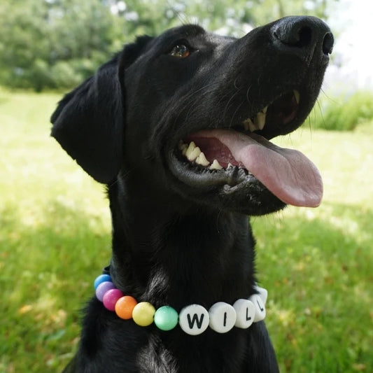  Pet Beaded Name Collar & Bracelet Set Custom Letter Necklace
global-swanky 3