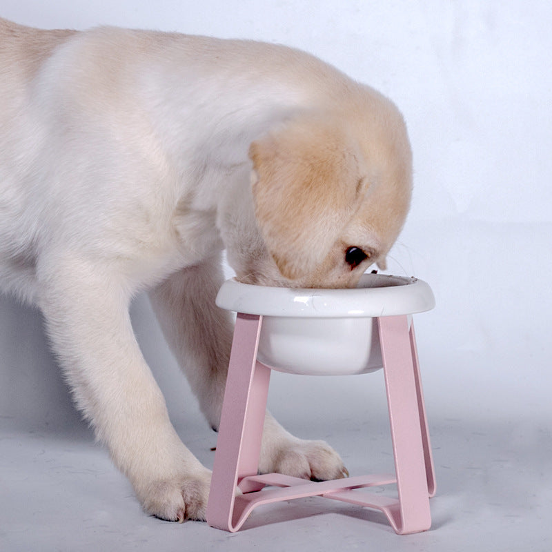 Pet Bowls Creative Antislip Cat Feeding Bowl Cat Food Bowl With Iron Stand 2 In 1 Pet Food Water Feeder Pet Feeding Supplies Global swankw 1