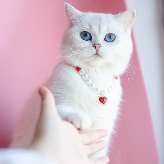 Pet Cat Beads Love Necklace Global swanky 1