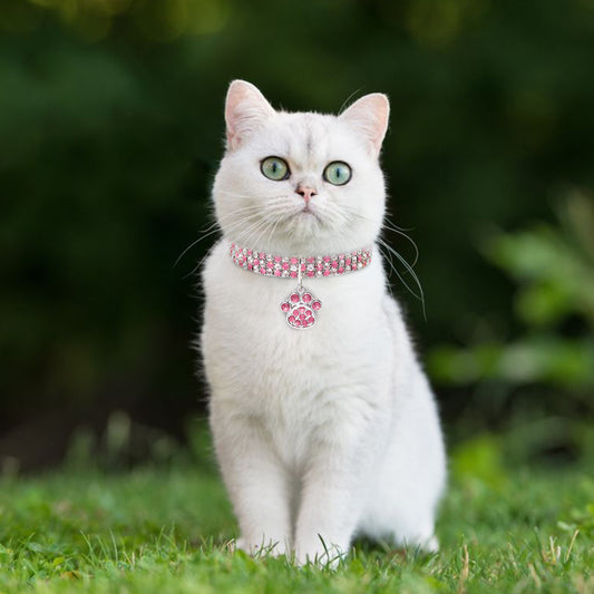 Pet Collar With Diamonds, Mixed-color Cat And Dog Supplies, Cat Claws, Elastic Cat And Dog Necklace Jewelry Global swanky  2