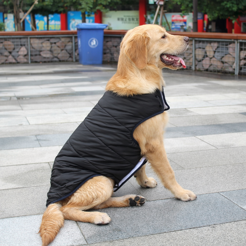  Pet Dog Clothes – Cozy Winter Cotton Coat Your Furry Friend
global-swanky 3