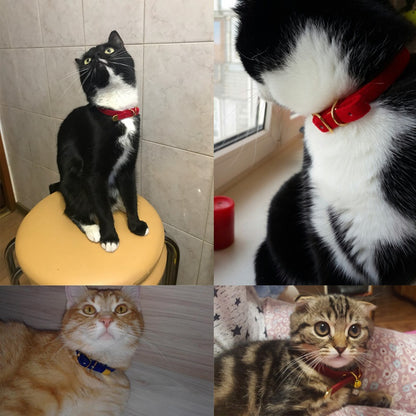 Pet supplies cat collar Global swanky 2