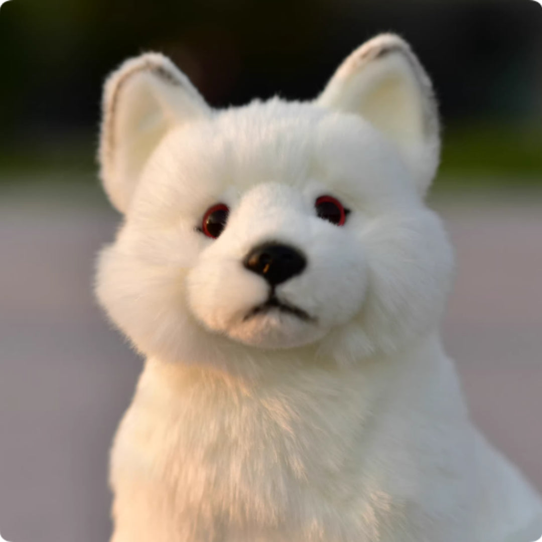 Plush Toys & Animal Dolls Soft Cuddly Plush Toys for Kids
global swanky 3