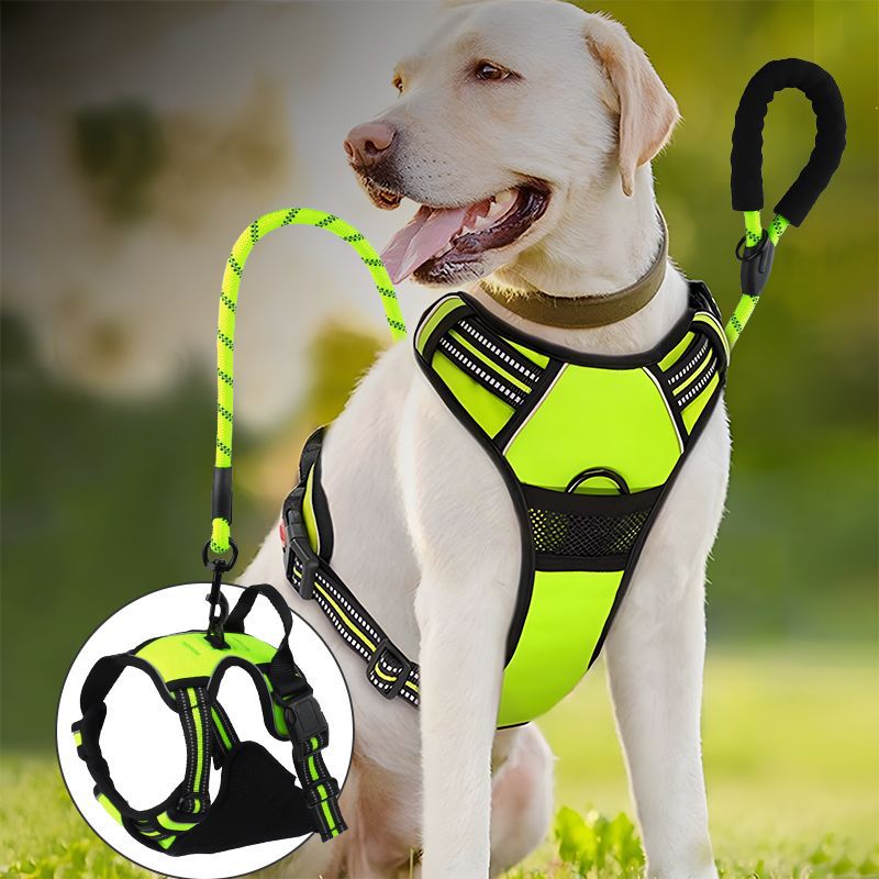 Reflective Dog Harness and Leash for Dogs Daily Walking Use globalswanky 02