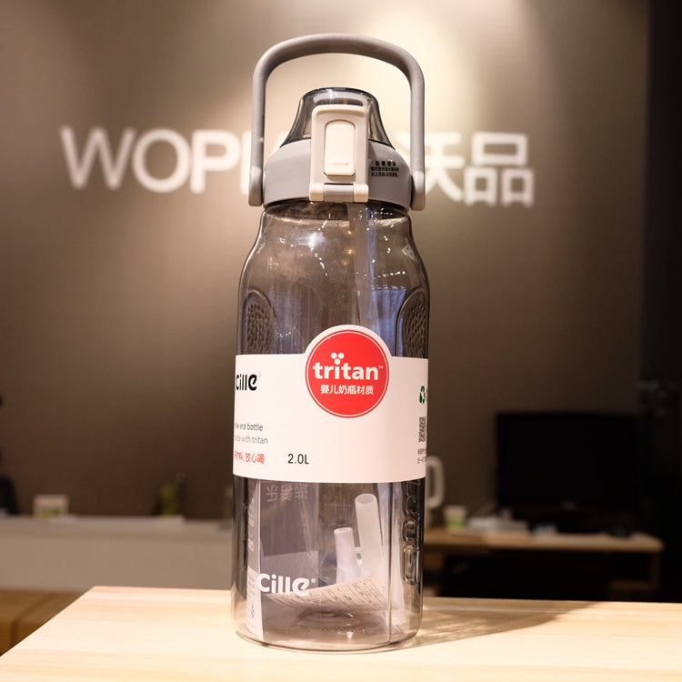 Scaled Water Bottle with Straw for Sports and Outdoor Use Daily Global swanky 1