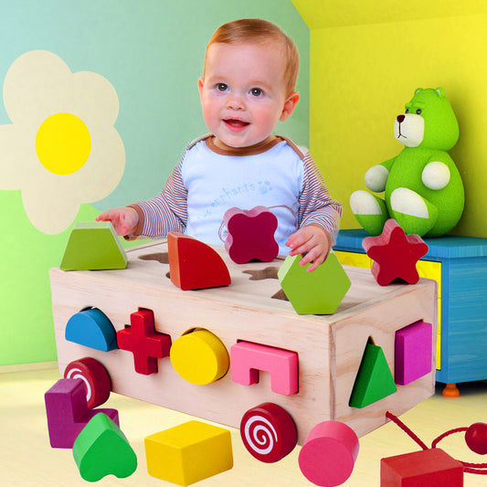  Shape Matching Building Blocks – Educational Fun for Kids
global-swanky 1