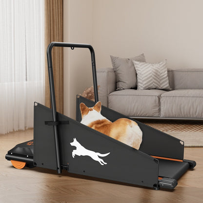 Small & Medium Dog Treadmill – Keep Pets Fit with Run & Walk
global-swanky 3