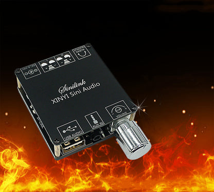 Stepless Dual-Channel Digital Power Amplifier Board One-Button Control
Global swanky 1