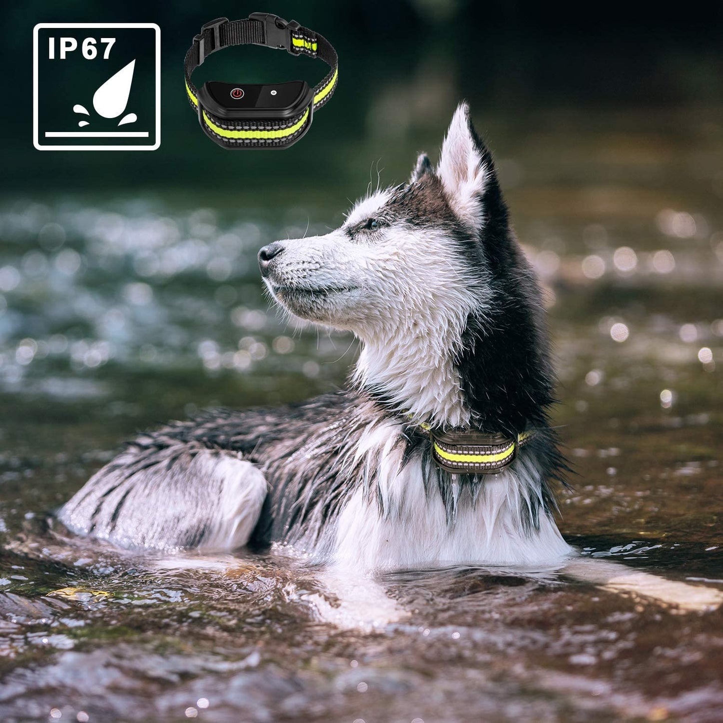 Training  Collars To Prevent Dogs From Barking Global swanky 1