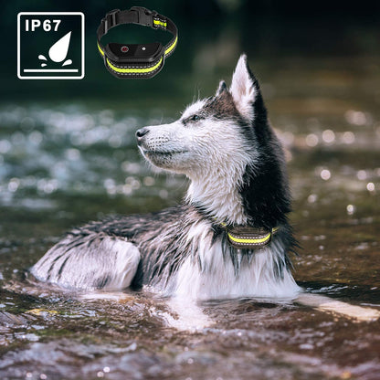 Training  Collars To Prevent Dogs From Barking Global swanky 1