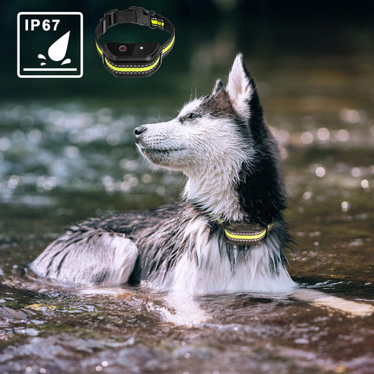 Training  Collars To Prevent Dogs From Barking Global swanky 1