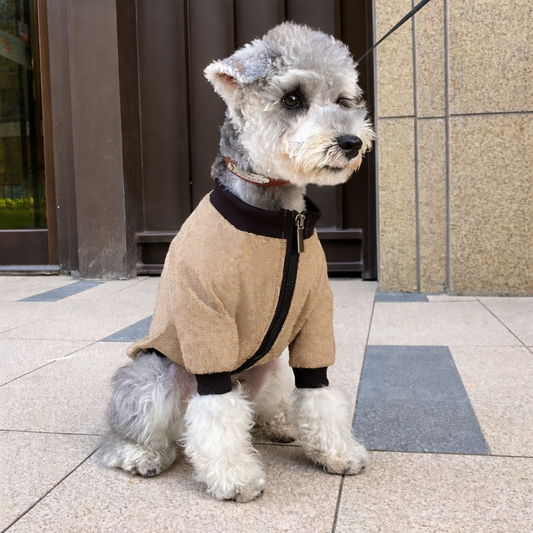Winter Jacket for Pets – Cozy Hoodie Coat for Dogs & Cats
 global-swanky 3