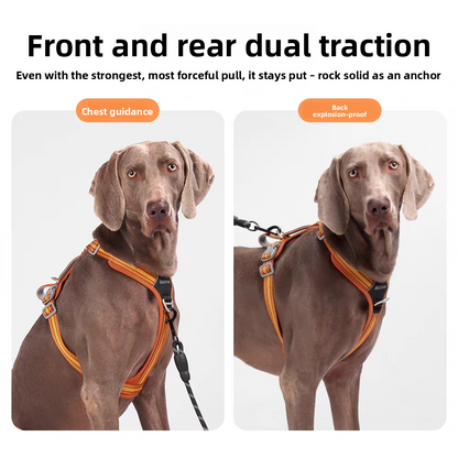 Y-Shaped Anti-Pull Dog Harness and Leash for Dogs Daily Use globalswanky 02