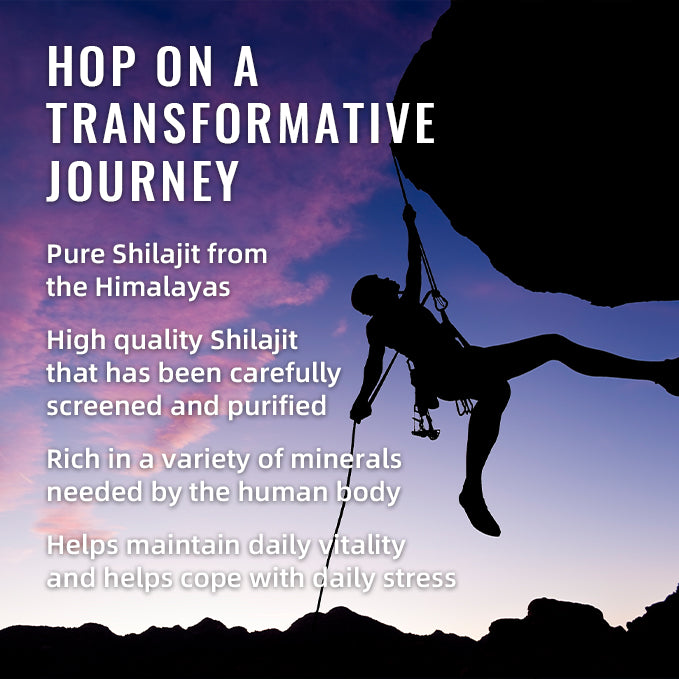 Buy BSYS Shilajit Gummies 60's – Herbal Supplement for Vitality