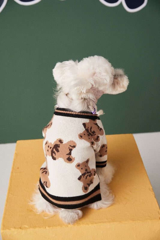 Dog & Cat Sweater – Preppy Style V-Neck Striped Vest for Pets