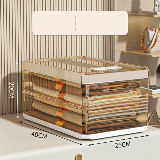 Artifact Wardrobe Storage Box – Stratified Division Organizer