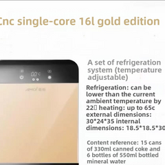 Rose Gold 16L DualUse Display