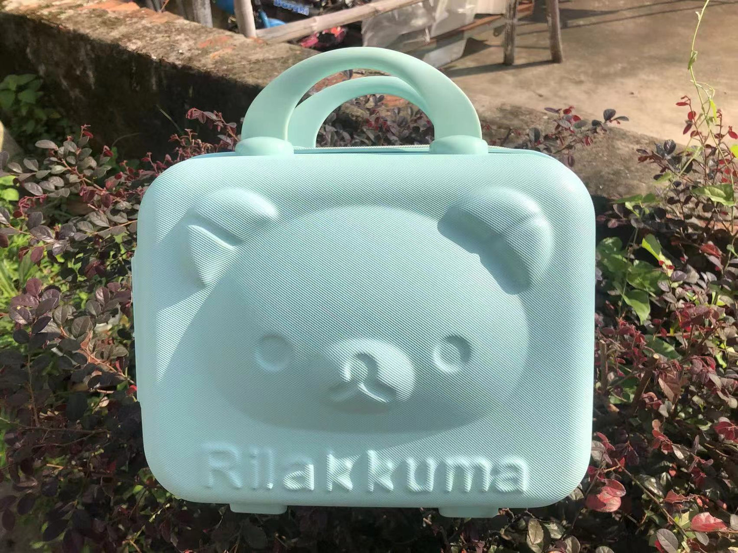 A 14-inch cosmetic case small suitcase
