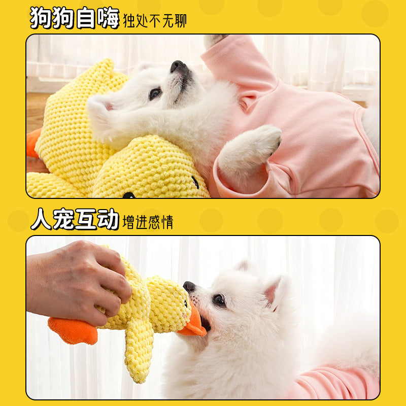 A dog toy that can relieve boredom, is a sound-making and chewy charging duck