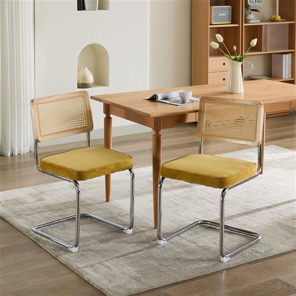 A set of 2-piece medieval modern dining chairs