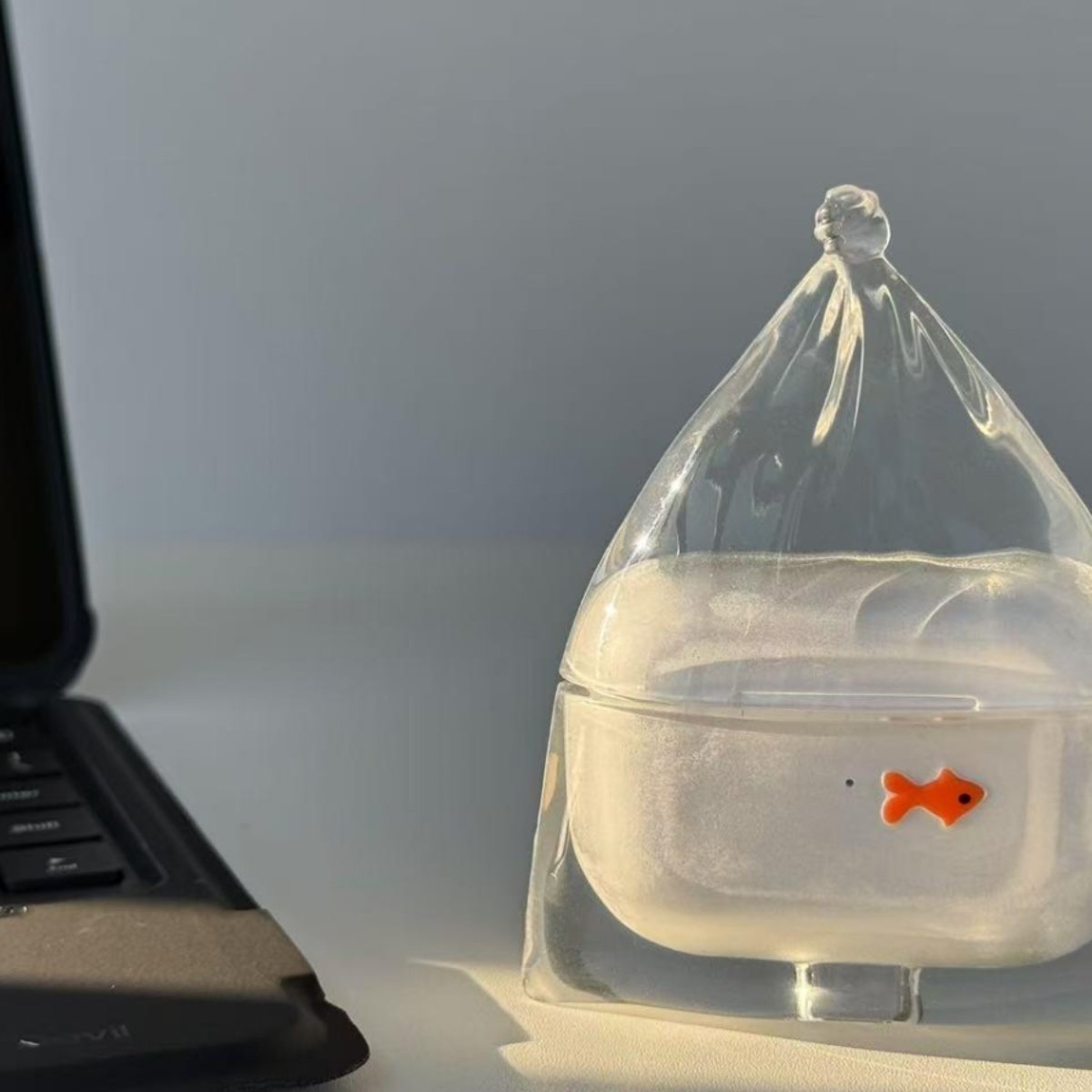 A small fish earphone case