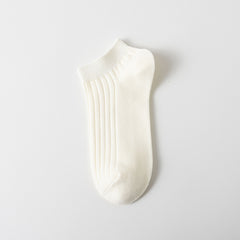 Cream White 3pcs
