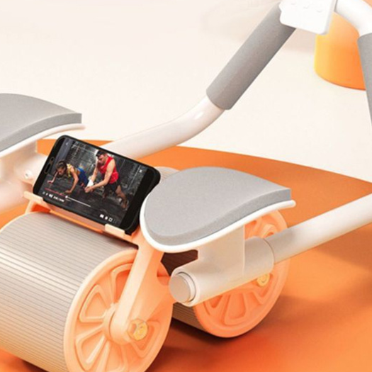 Ab Wheel Trainer
