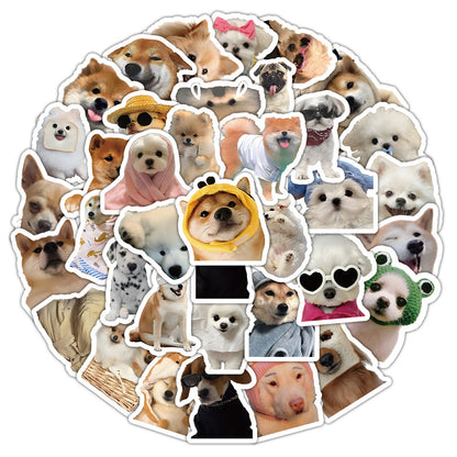 Abstract Puppy Graffiti Stickers