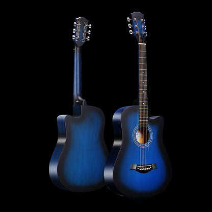 Acoustic guitar