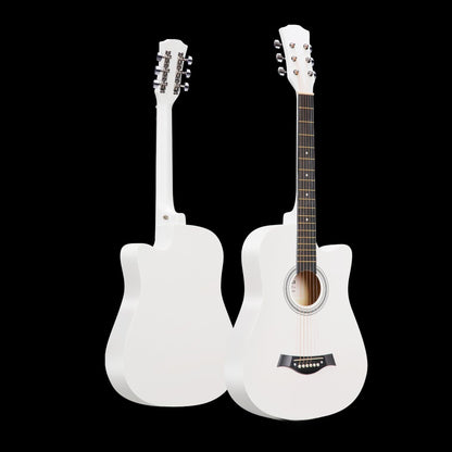 Acoustic guitar