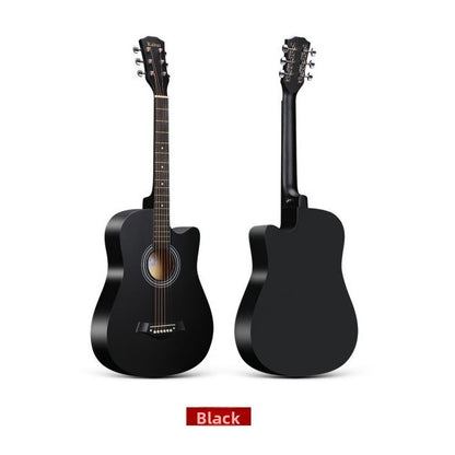Acoustic guitar