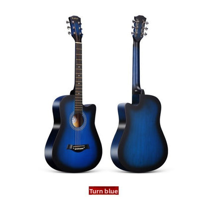 Acoustic guitar