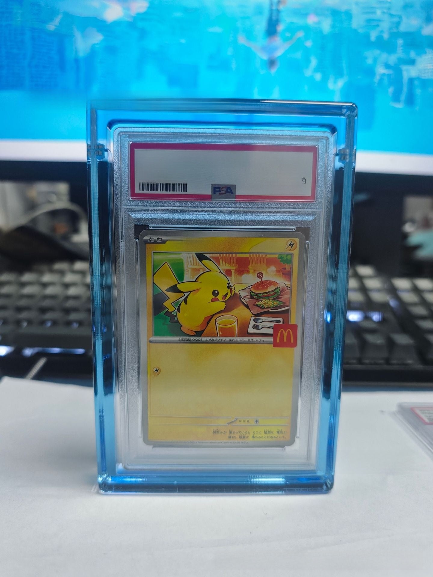 Acrylic Card Display Box for Psa/Cgc Graded Cards Storage
