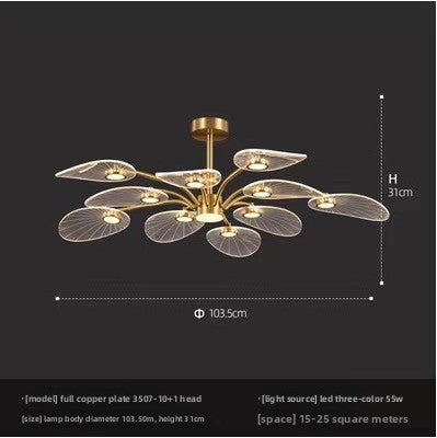Acrylic chandelier