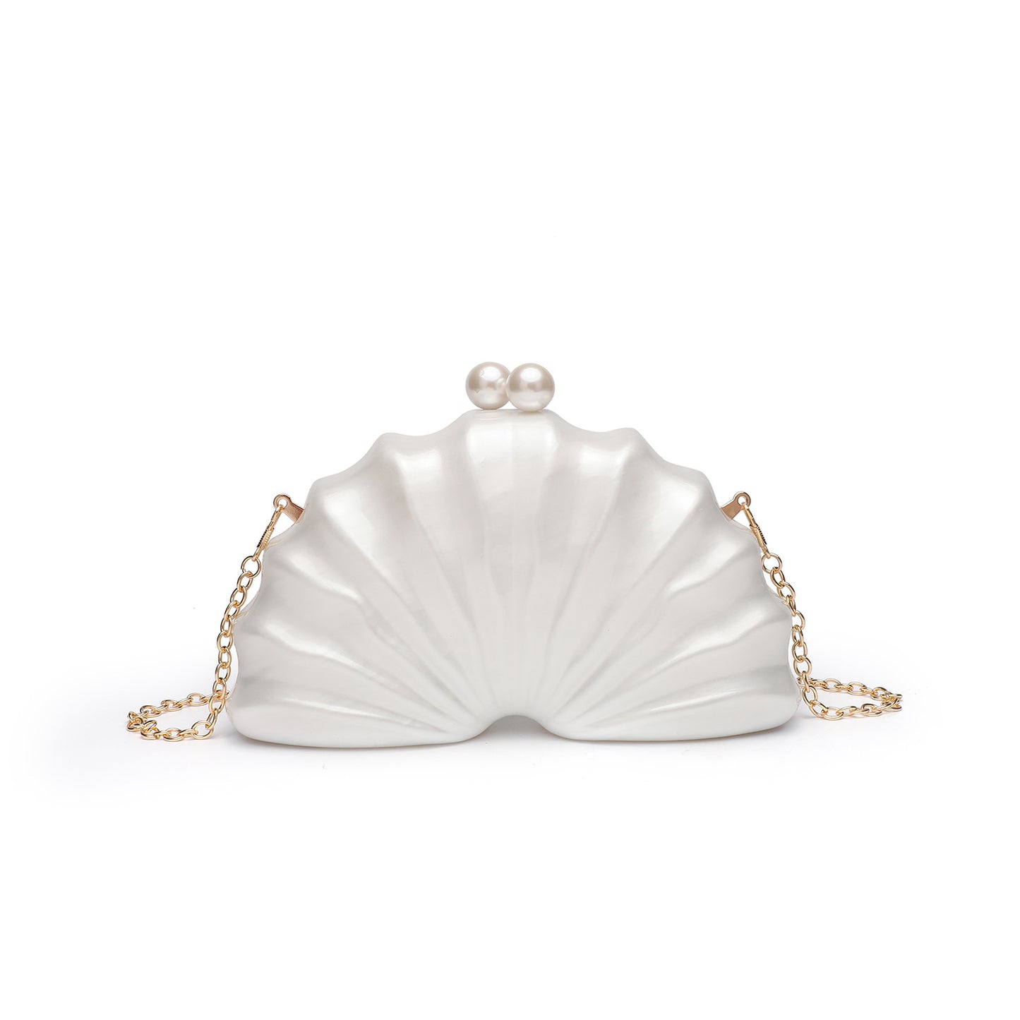 Acrylic Clutch Bag