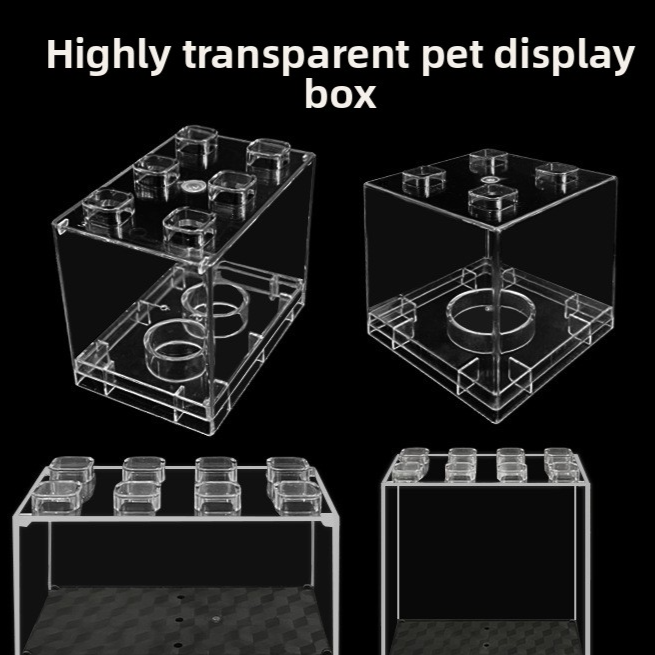 Acrylic Collectible Display Case