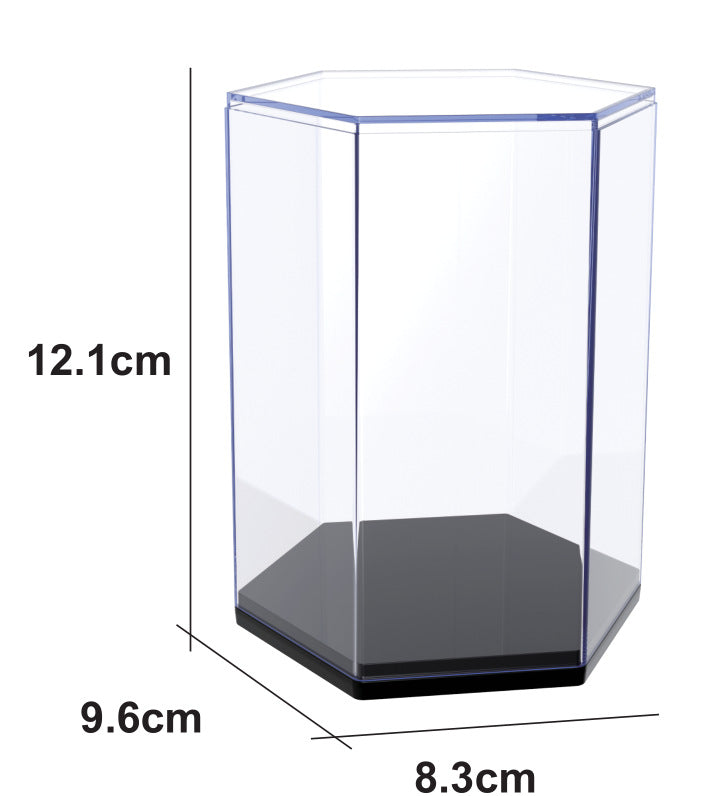 Acrylic Collectible Display Case