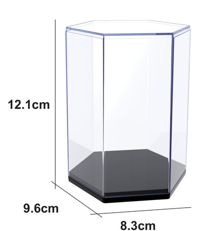 Acrylic Collectible Display Case