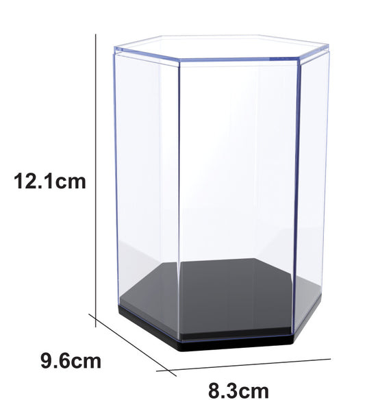 Acrylic Collectible Display Case