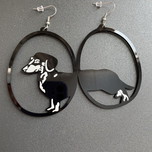 Acrylic Earrings