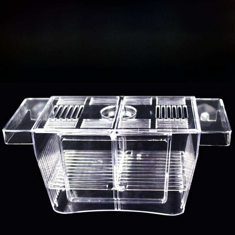 Acrylic Fish Box