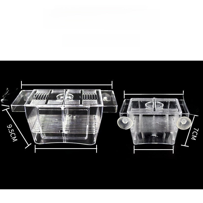 Acrylic Fish Box