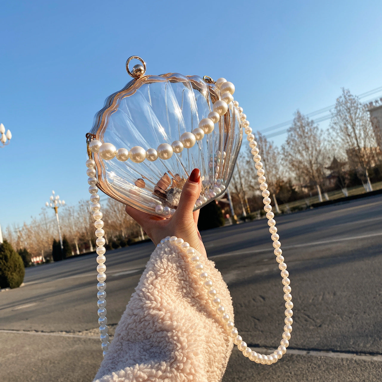Acrylic Handbag