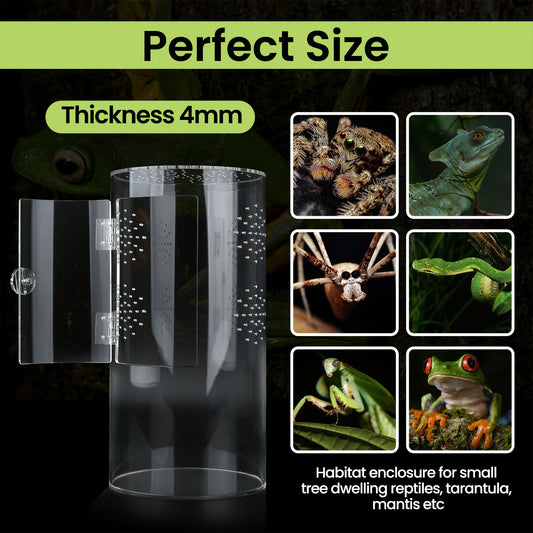 Acrylic Pet Enclosure