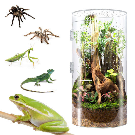 Acrylic Pet Enclosure