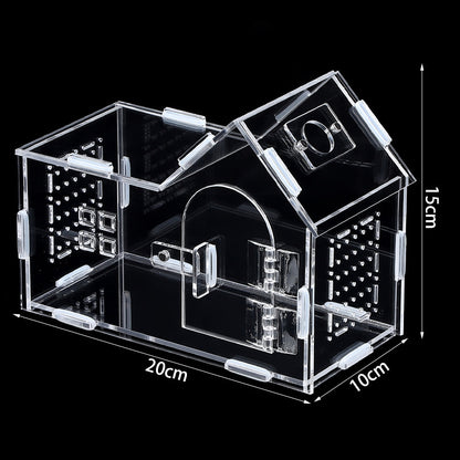 Acrylic Reptile Habitat Box