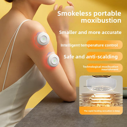 Acupoint heating and vaporization device