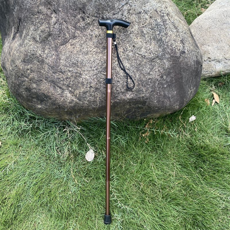 Adjustable Aluminum Trekking Pole